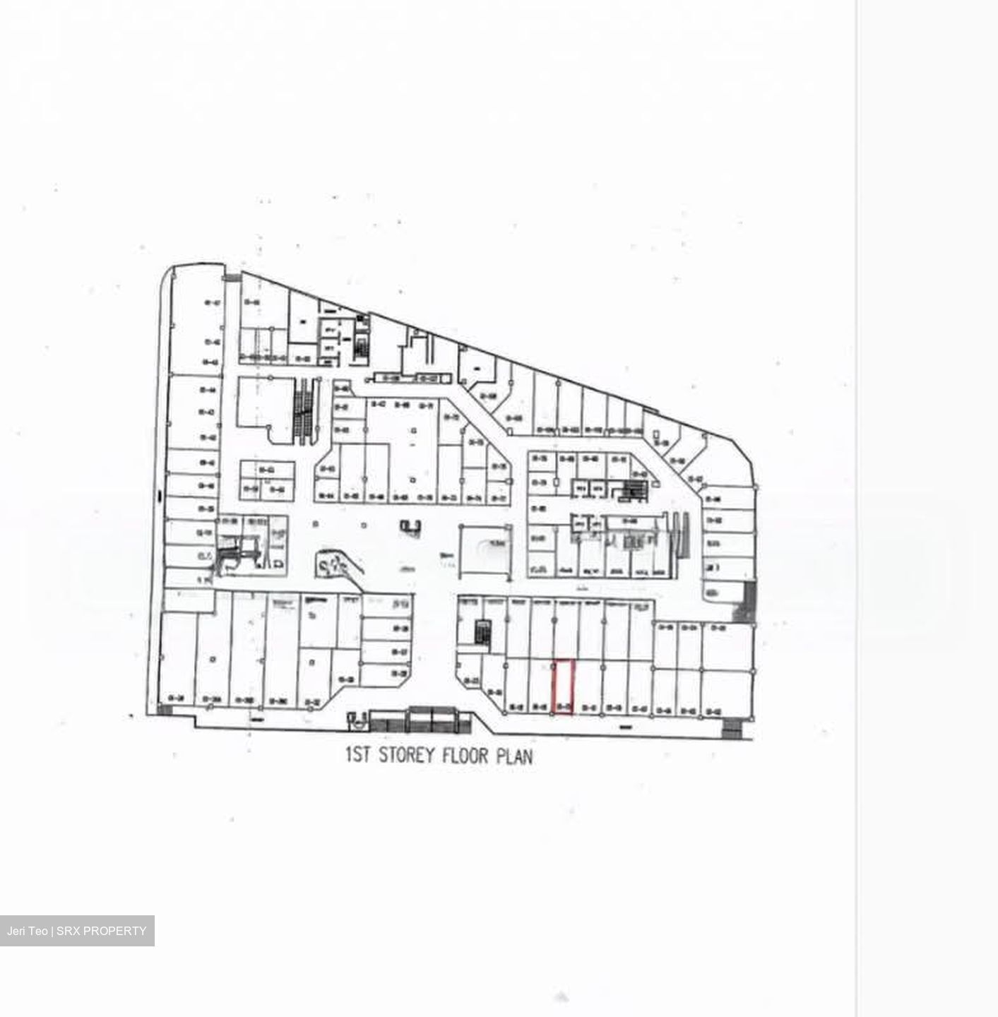Lucky Plaza (D9), Shop House #569178221